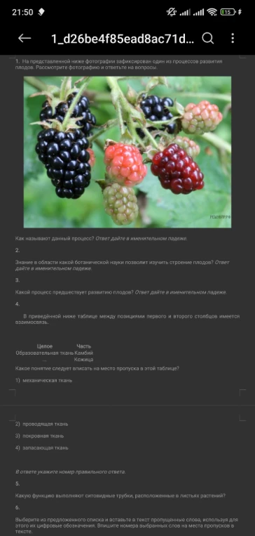 На представленной ниже фотографии зафиксирован один из процессов развития плодов. Рассмотрите фотографию и ответьте на вопросы.