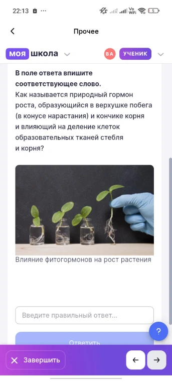 В поле ответа впишите соответствующее слово. Как называется природный гормон роста, образующийся в верхушке побега (в конусе нарастания) и кончике корня и влияющий на деление клеток образовательных тканей стебля и корня?