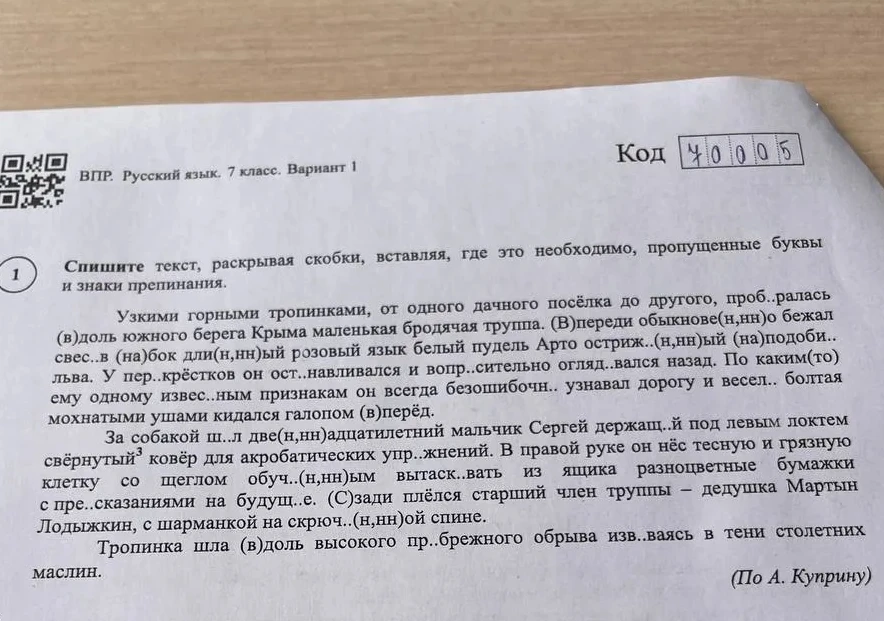 Спишите текст, раскрывая скобки, вставляя, где это необходимо, пропущенные буквы и знаки препинания.