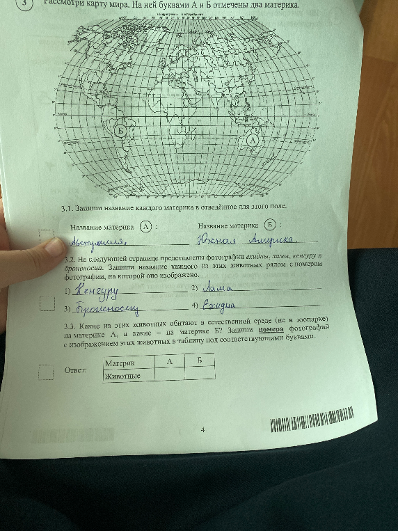 Какие из этих животных обитают в естественной среде (не в зоопарке) на материке А, а какие - на материке Б?