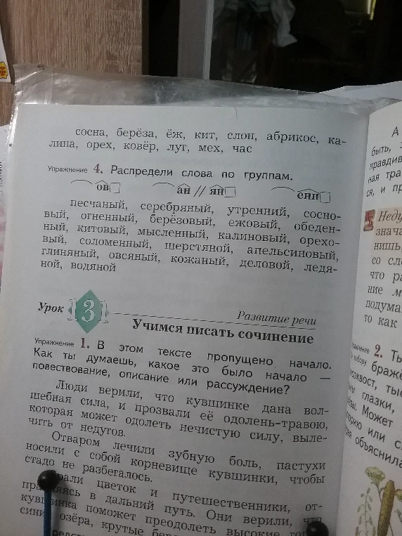 Упражнение 4. Распредели слова по группам.