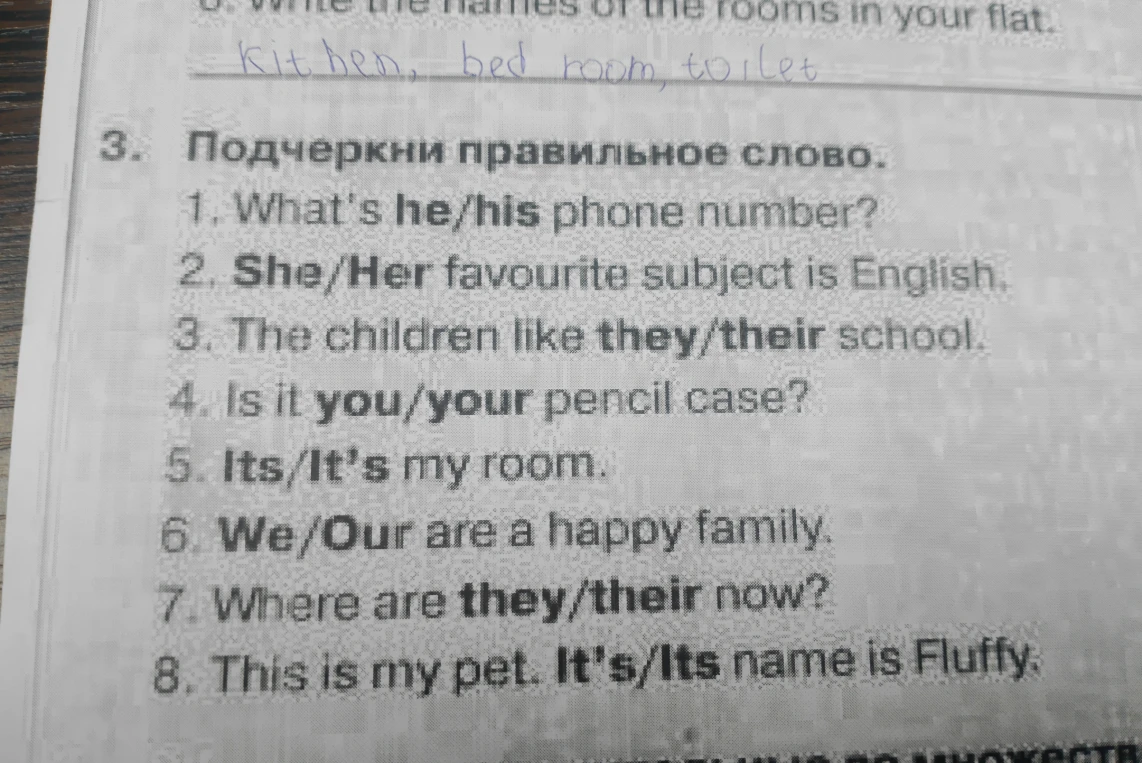 3. Подчеркни правильное слово.
