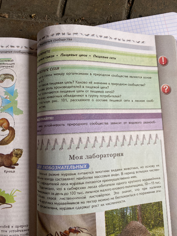 Какие связи между организмами в природном сообществе являются основными?