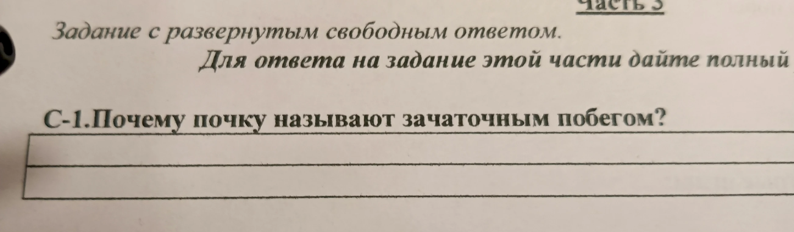 Почему почку называют зачаточным побегом?