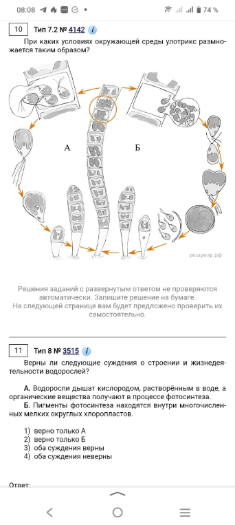 При каких условиях окружающей среды улотрикс размножается таким образом?