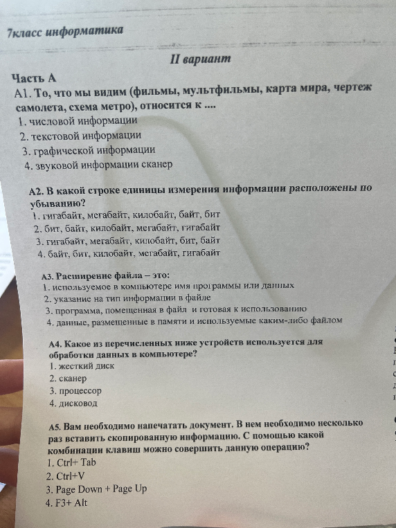 A1. То, что мы видим (фильмы, мультфильмы, карта мира, чертеж самолета, схема метро), относится к ....
