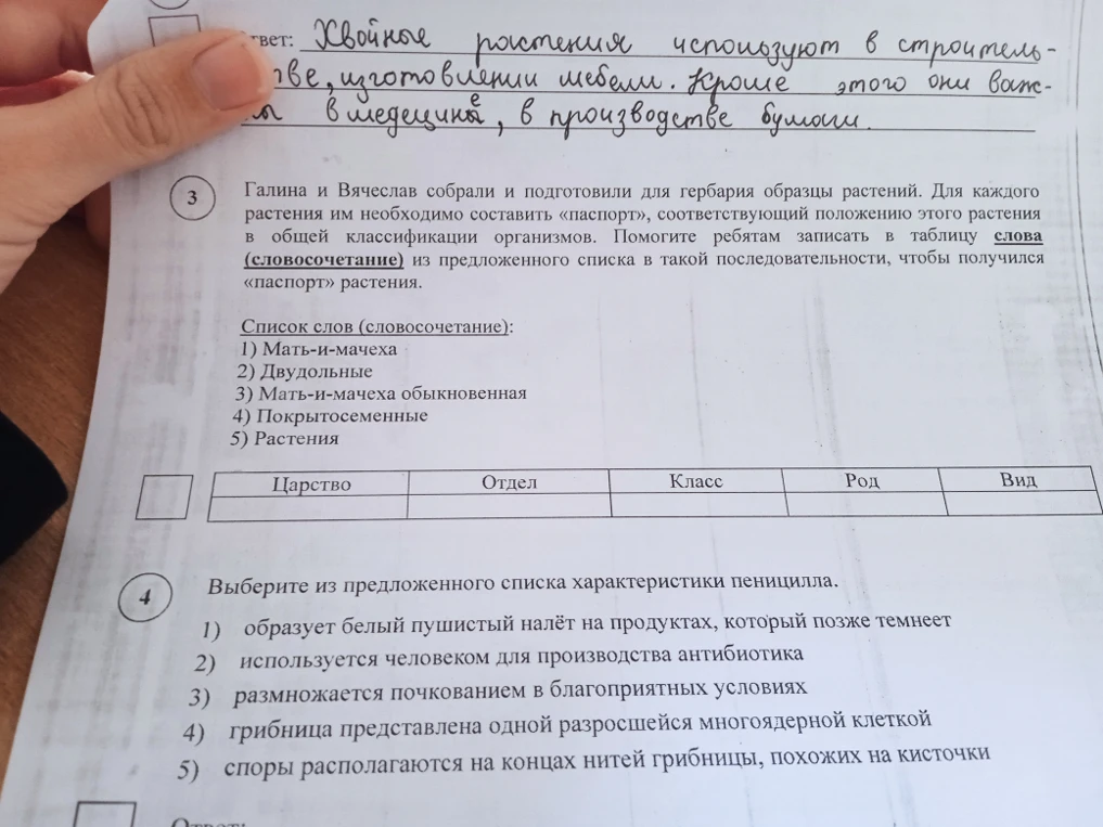 Галина и Вячеслав собрали и подготовили для гербария образцы растений. Для каждого растения им необходимо составить «паспорт», соответствующий положению этого растения в общей классификации организмов.