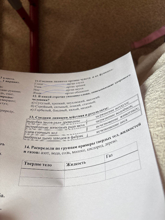 11.Соедини линиями органы чувств и их функции: