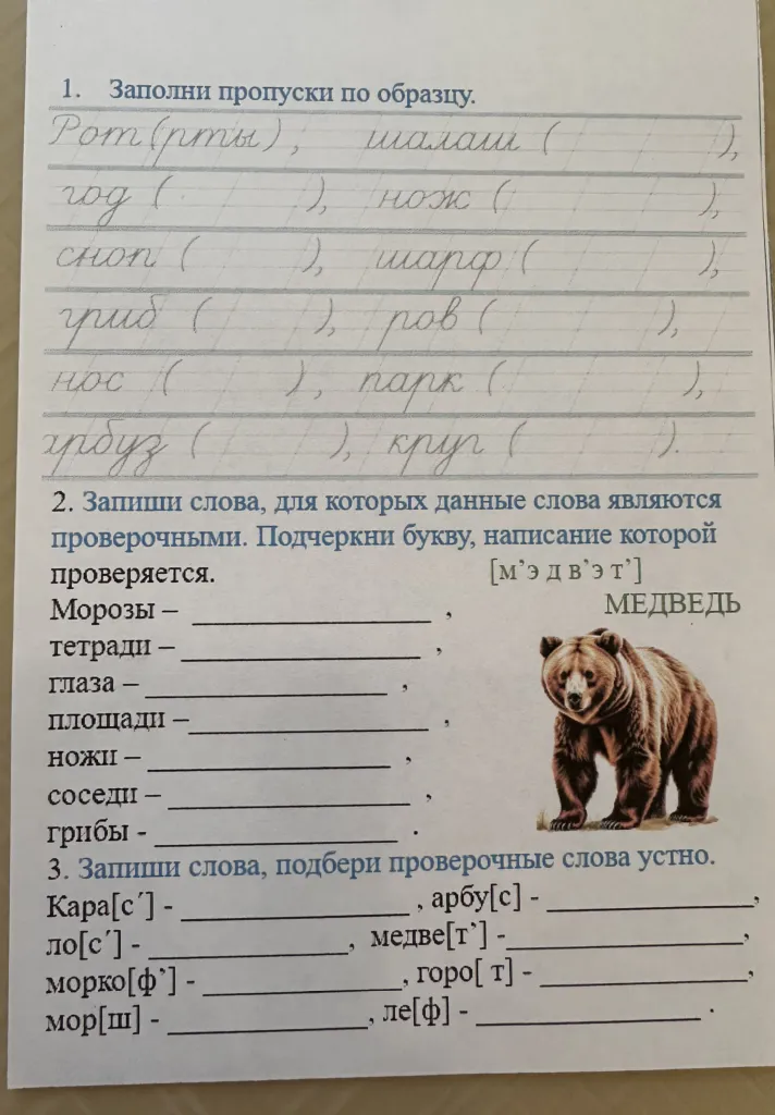 1. Заполни пропуски по образцу. Рот(рты); шалаш ( ), год ( ), нож ( ), сноп ( ), шарф ( ), гриб ( ), ров ( ), нос ( ), парк ( ), арбуз ( ), круг ( ).