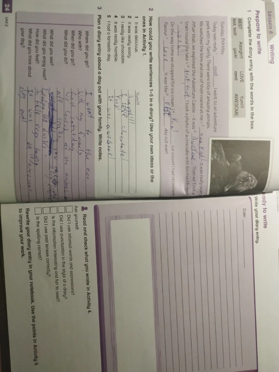 Plan a diary entry about a day out with your family. Write notes.