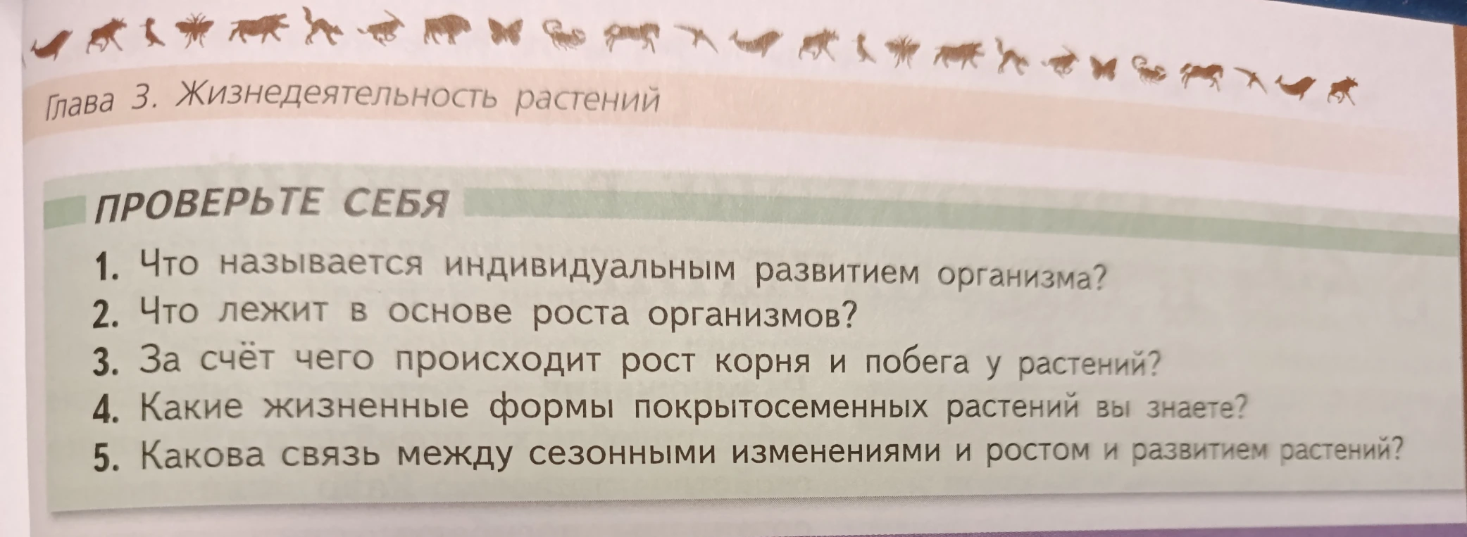 1. Что называется индивидуальным развитием организма?