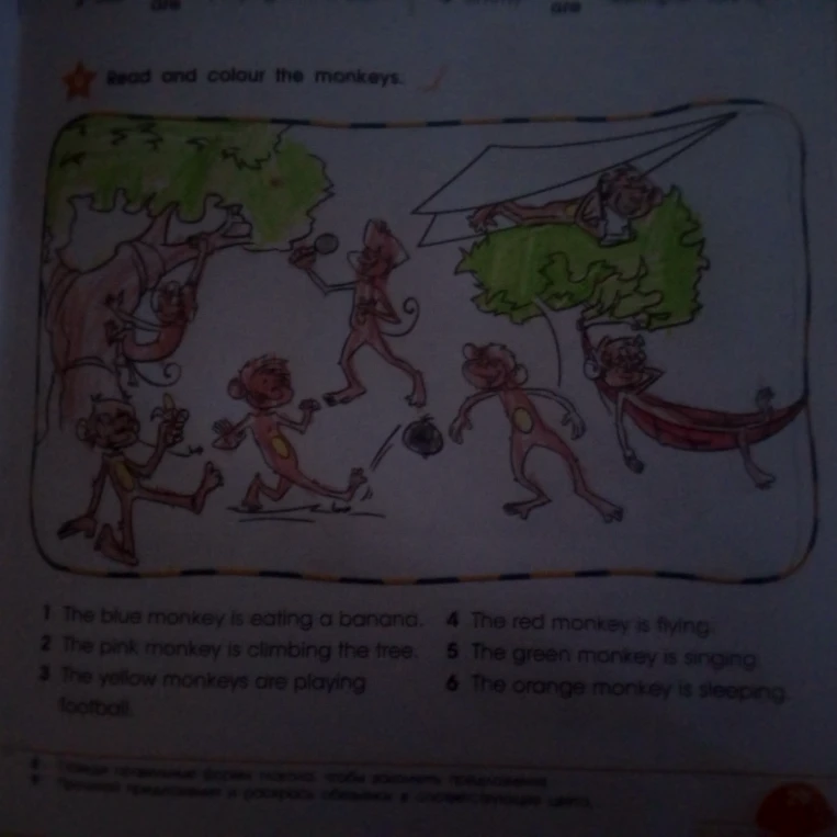 Read and colour the monkeys.