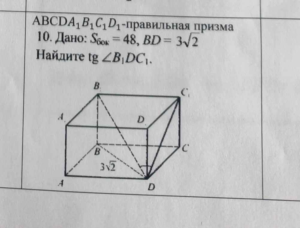 ABCDA1B1C1D1-правильная призма 10. Дано: Sбок = 48, BD = 3√2 Найдите tg ∠B1DC1.