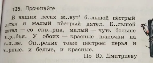 В наших лесах ж..вут 1 б..льшой пёстрый дятел и малый пёстрый дятел.