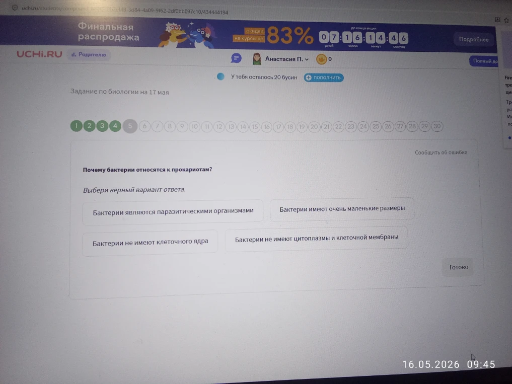 Почему бактерии относятся к прокариотам?