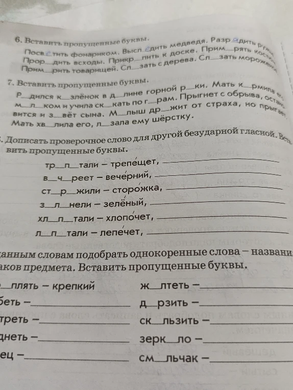 Вставить пропущенные буквы в упражнениях 6, 7, 8 и подобрать однокоренные прилагательные к словам в нижней части листа.