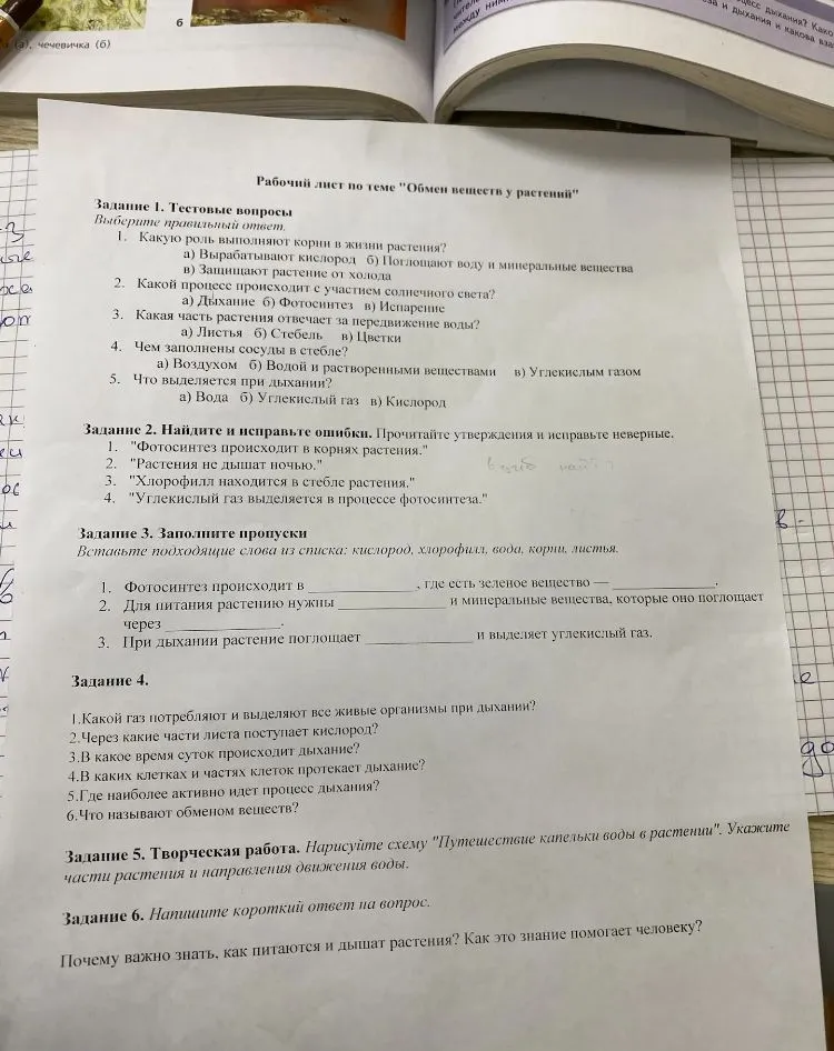 Рабочий лист по теме "Обмен веществ у растений"