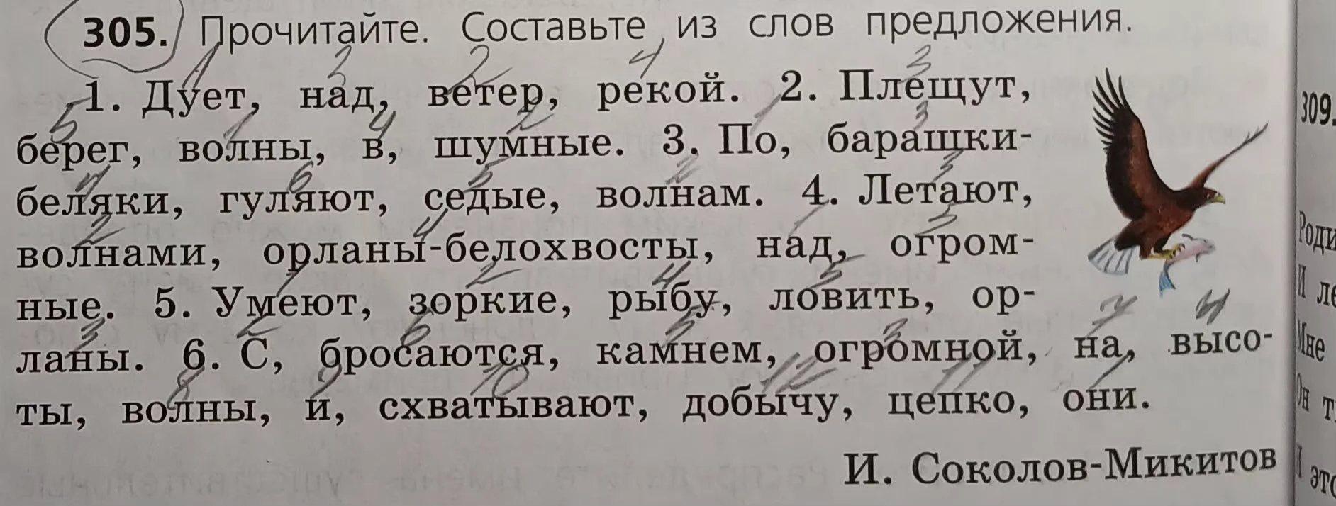 305. Прочитайте. Составьте из слов предложения.