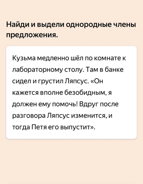 Найди и выдели однородные члены предложения.