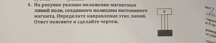 На рисунке указано положение магнитных линий поля, созданного полюсами постоянного магнита. Определите направление этих линий. Ответ поясните и сделайте чертеж.