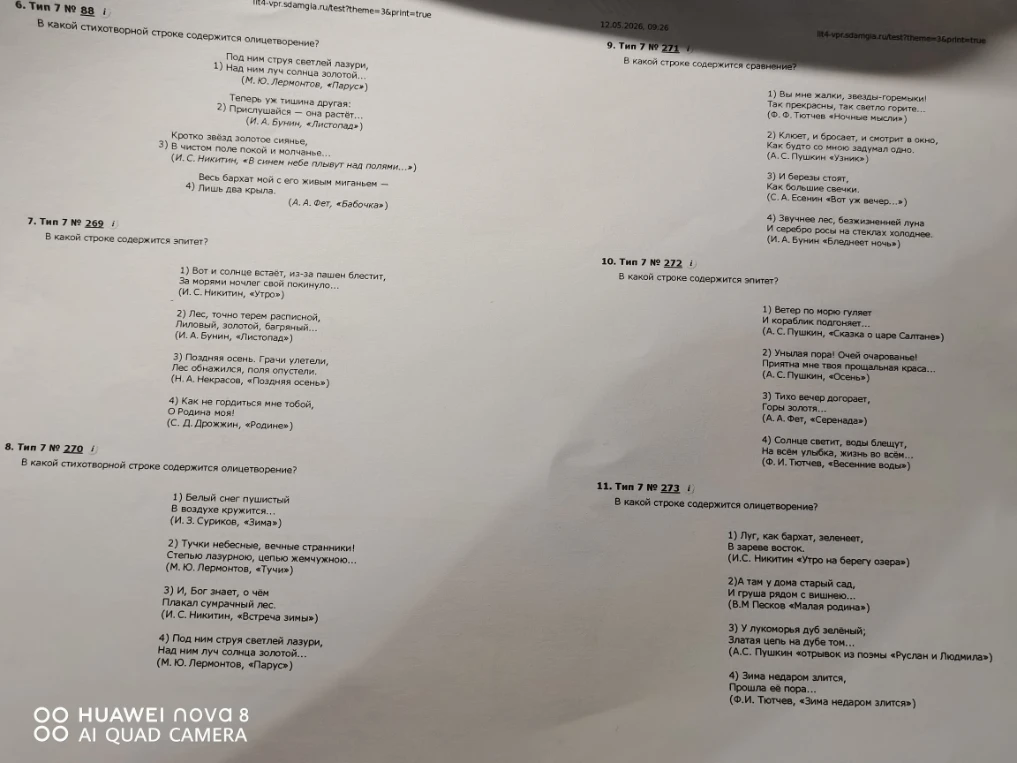 В какой стихотворной строке содержится олицетворение?
