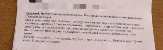 Задание1, Вставьте пропущенные буквы. Расставьте недостающие знаки препинания. Сделайте разборы.