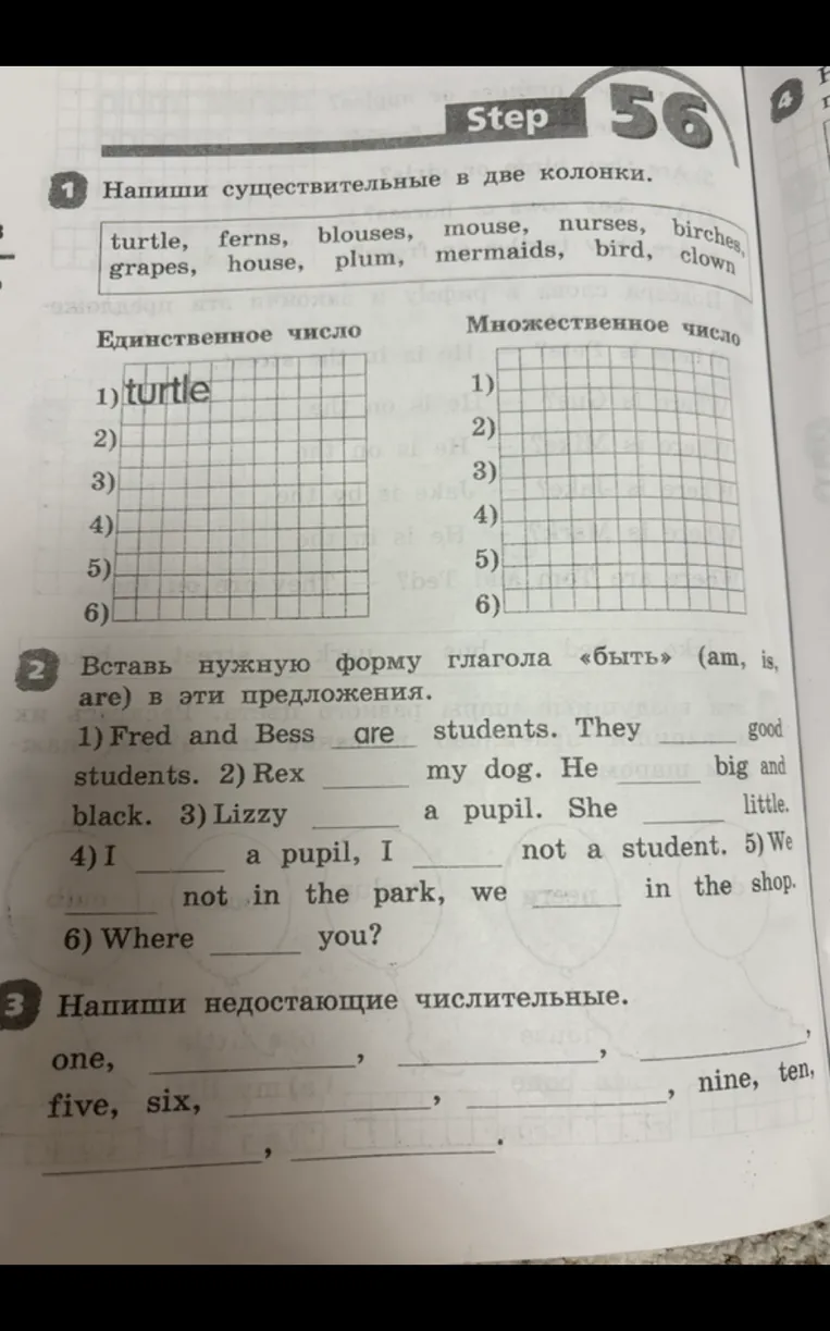 Напиши существительные в две колонки.