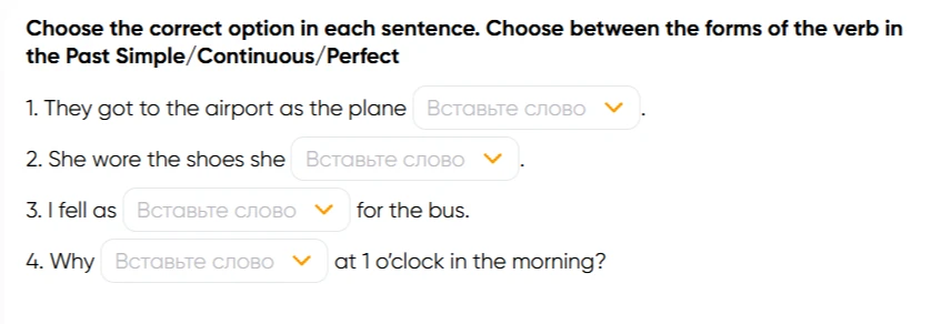 Choose the correct option in each sentence. Choose between the forms of the verb in the Past Simple/Continuous/Perfect