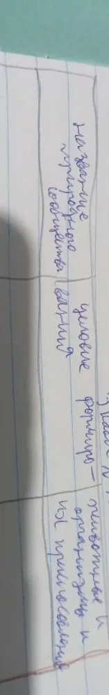Название природного сообщества, условие формирования, животные и организмы.