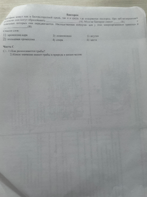 Бактерии живут как в бескислородной среде, так и в среде, где содержится кислород. При неблагоприятных условиях они могут образовывать _________ (А). Многие бактерии имеют _________ (Б), с помощью которых они передвигаются. Наследственная информа- ция у этих микроорганизмов хранится в _________ (В).
