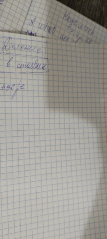 Деление в столбик 496/2
