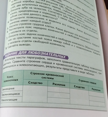 Используя тексты параграфов, заполните сравнительную таблицу позвоночных животных. Сравните строение сердца и кровеносной системы земноводных, пресмыкающихся и млекопитающих, результаты представьте в виде таблицы.