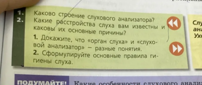 Каково строение слухового анализатора? Какие расстройства слуха вам известны и каковы их основные причины? 1. Докажите, что «орган слуха» и «слуховой анализатор» — разные понятия. 2. Сформулируйте основные правила гигиены слуха.