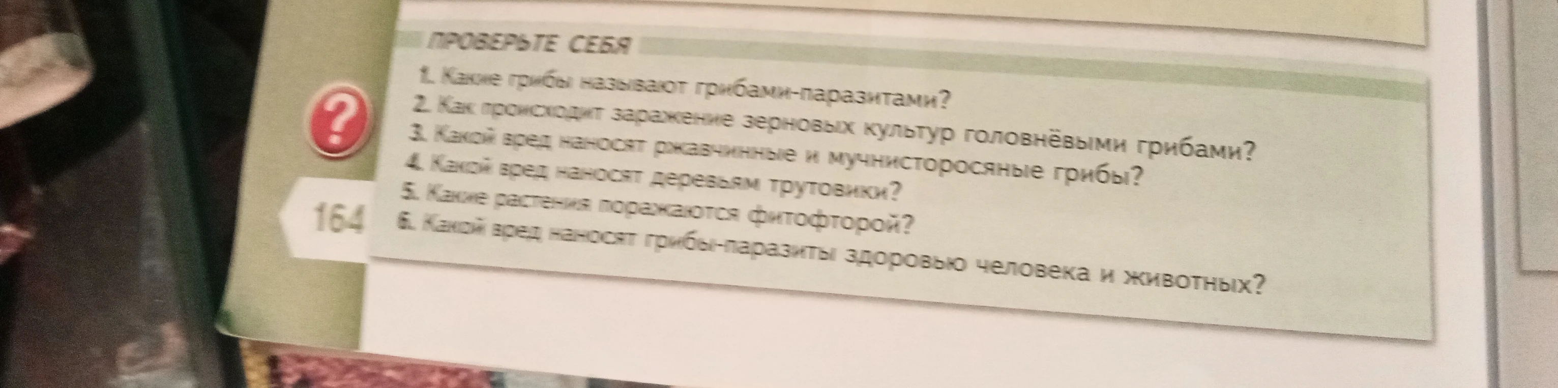 Какие грибы называют грибами-паразитами?