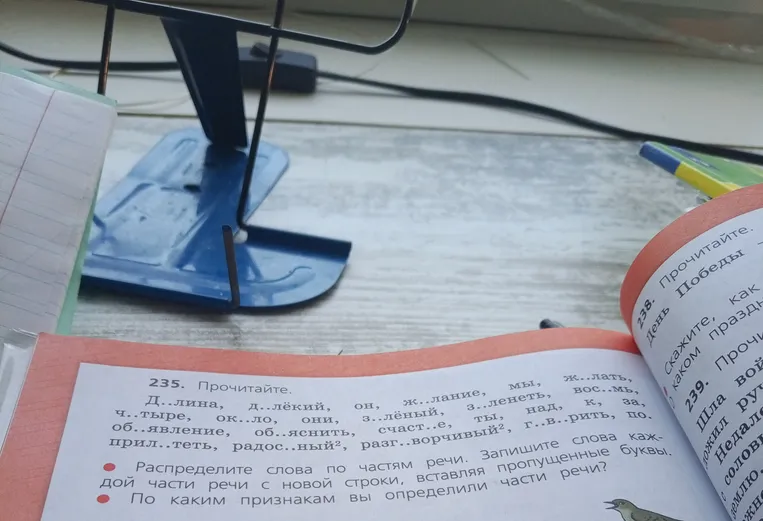 235. Прочитайте. Д..лина, д..лёкий, он, ж..лание, мы, ж..лать, вос..мь, ч..тыре, ок..ло, они, з..лёный, з..ленеть, к, за, об..явление, об..яснить, счаст..е, ты, над, прил..теть, радос..ный, разг..ворчивый, г..ворить, по. Распределите слова по частям речи.