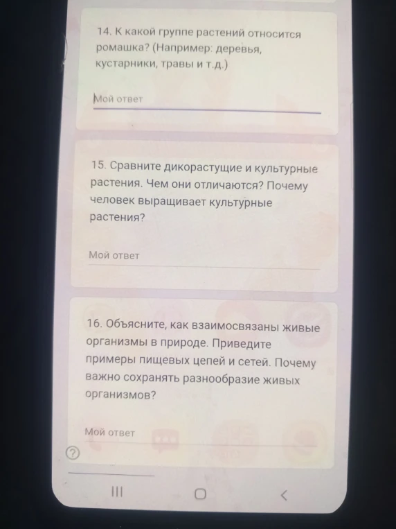 14. К какой группе растений относится ромашка? (Например: деревья, кустарники, травы и т.д.)