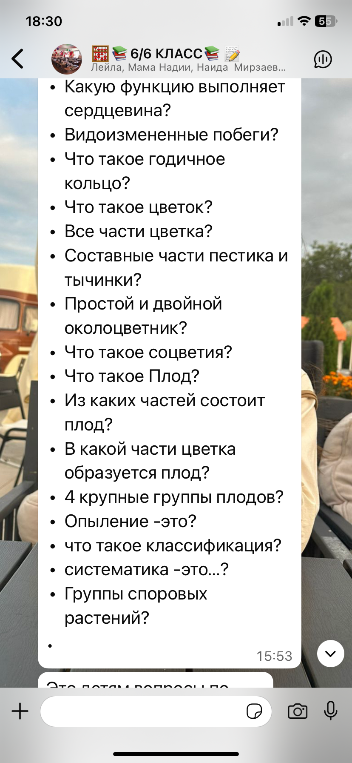 Какую функцию выполняет сердцевина?
