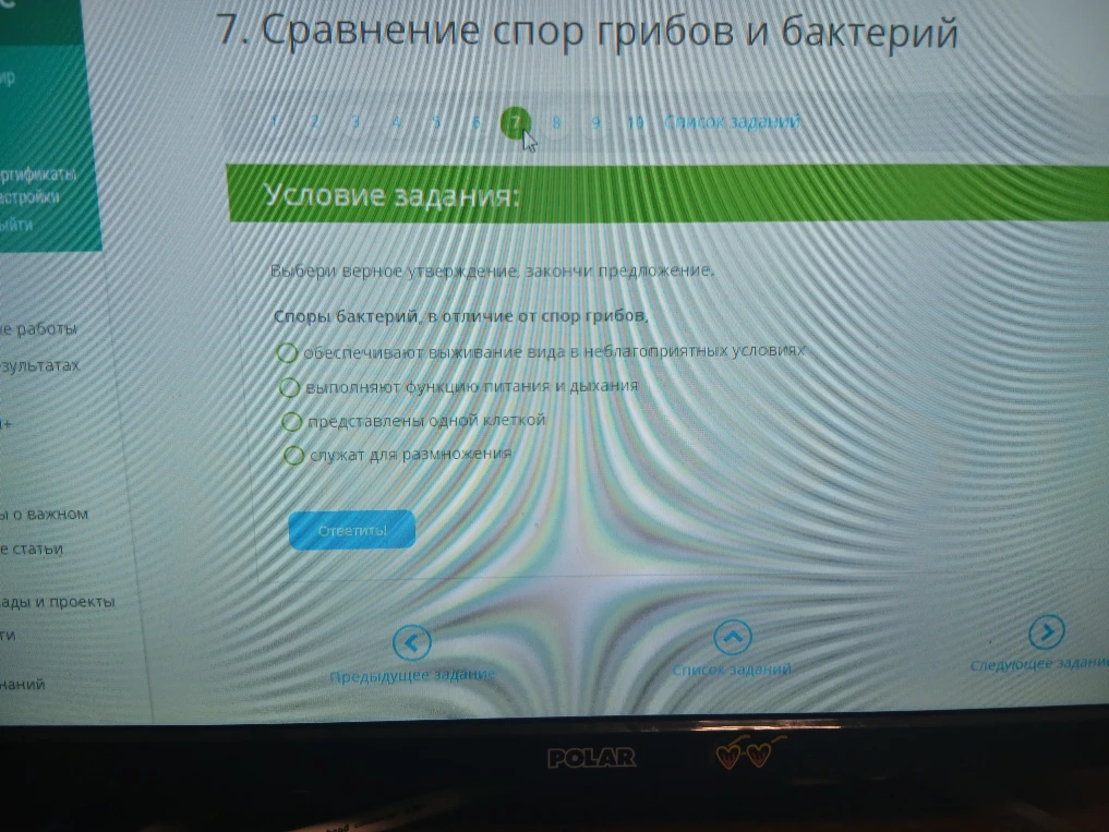 7. Сравнение спор грибов и бактерий