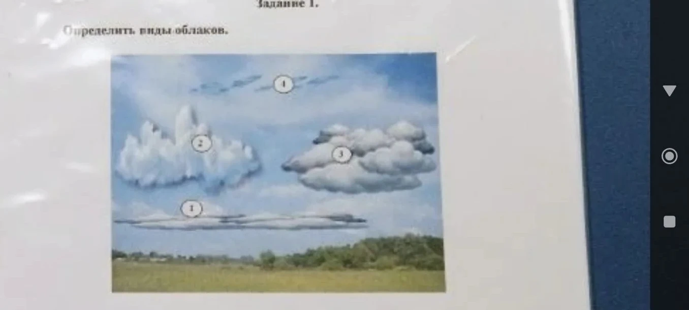 Задание 1. Определить виды облаков.