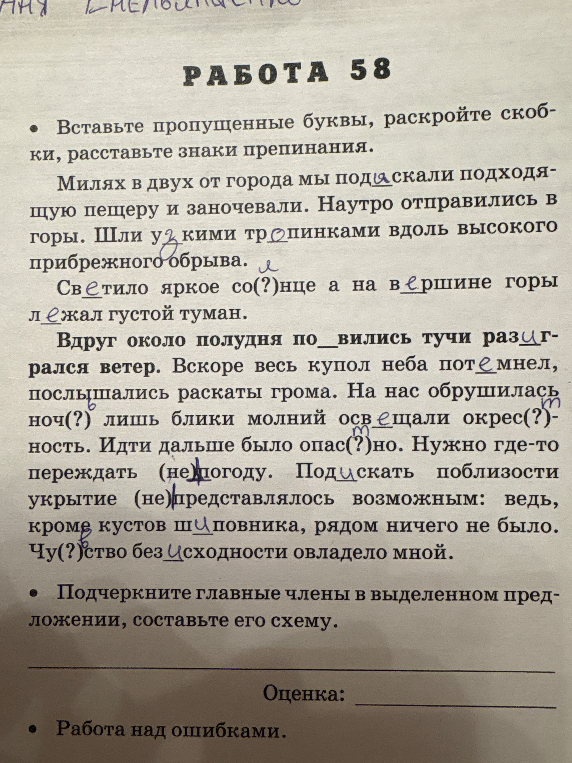 Вставьте пропущенные буквы, раскройте скобки, расставьте знаки препинания.