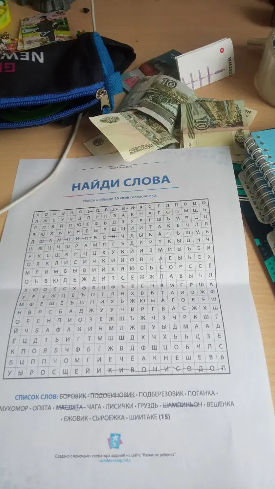 НАЙДИ СЛОВА: Найди и обведи 15 слов головоломки.