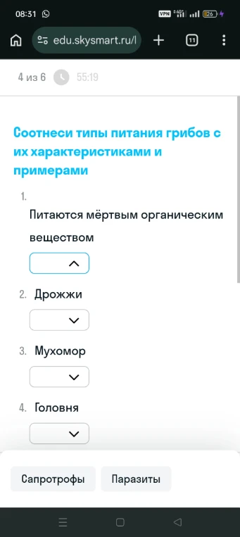Соотнеси типы питания грибов с их характеристиками и примерами