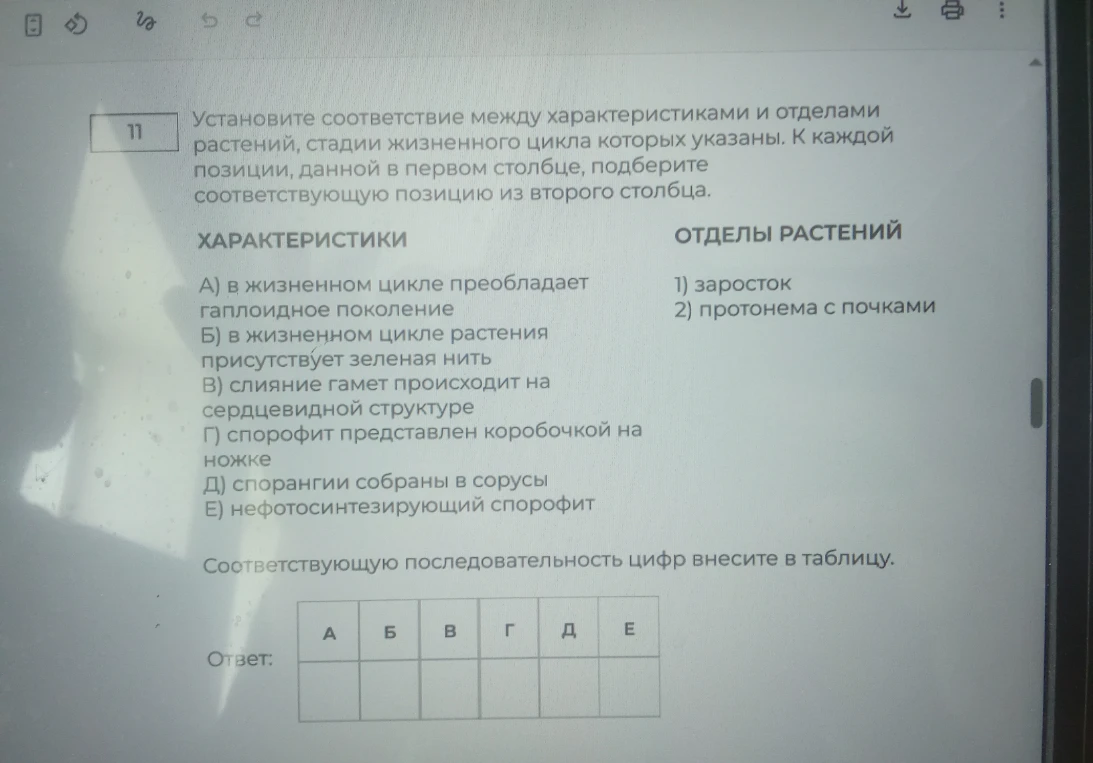 Установите соответствие между характеристиками и отделами растений, стадии жизненного цикла которых указаны.