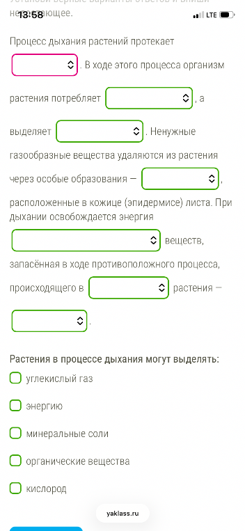 Процесс дыхания растений протекает . В ходе этого процесса организм растения потребляет , а выделяет . Ненужные газообразные вещества удаляются из растения через особые образования — , расположенные в кожице (эпидермисе) листа.