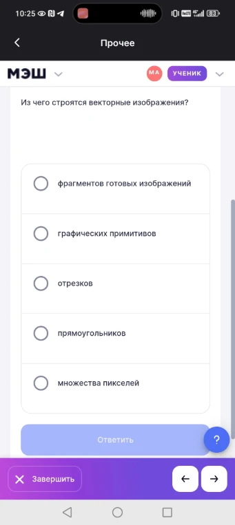 Из чего строятся векторные изображения?
