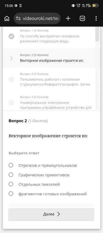 Векторное изображение строится из: