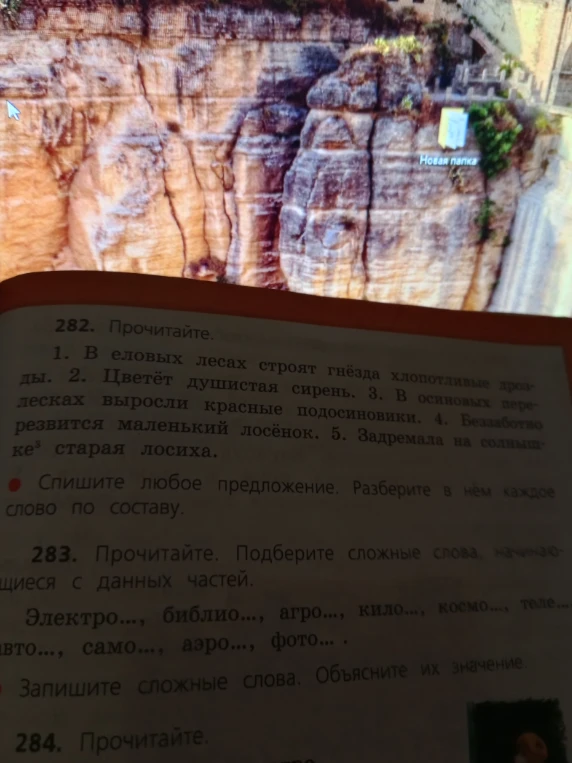 282. Прочитайте. 1. В еловых лесах строят гнёзда хлопотливые дрозды. 2. Цветёт душистая сирень. 3. В осиновых перелесках выросли красные подосиновики. 4. Беззаботно резвится маленький лосёнок. 5. Задремала на солнышке старая лосиха. Спишите любое предложение. Разберите в нём каждое слово по составу.