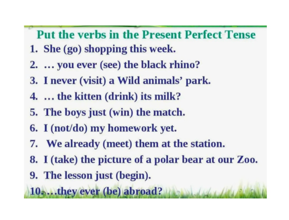 Put the verbs in the Present Perfect Tense