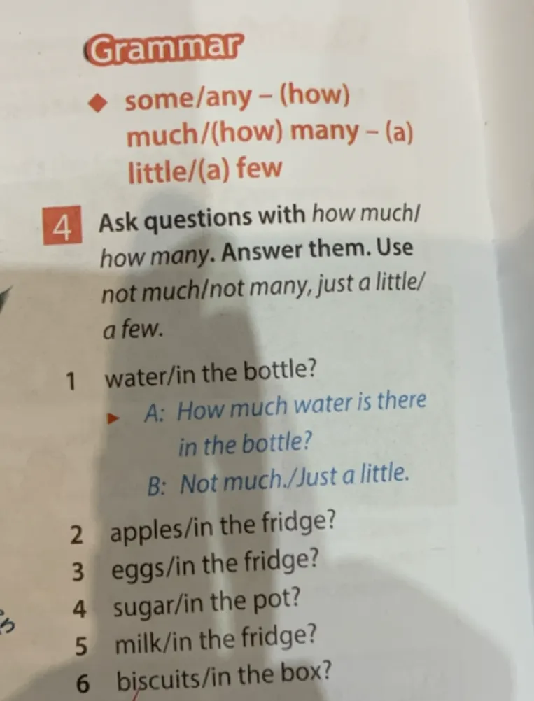 Ask questions with how much/ how many. Answer them. Use not much/not many, just a little/ a few.
