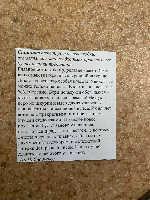 Спишите текст, раскрывая скобки, вставляя, где это необходимо, пропущенные буквы и знаки препинания.